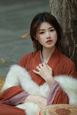 高圆圆第1到100都是赵又廷